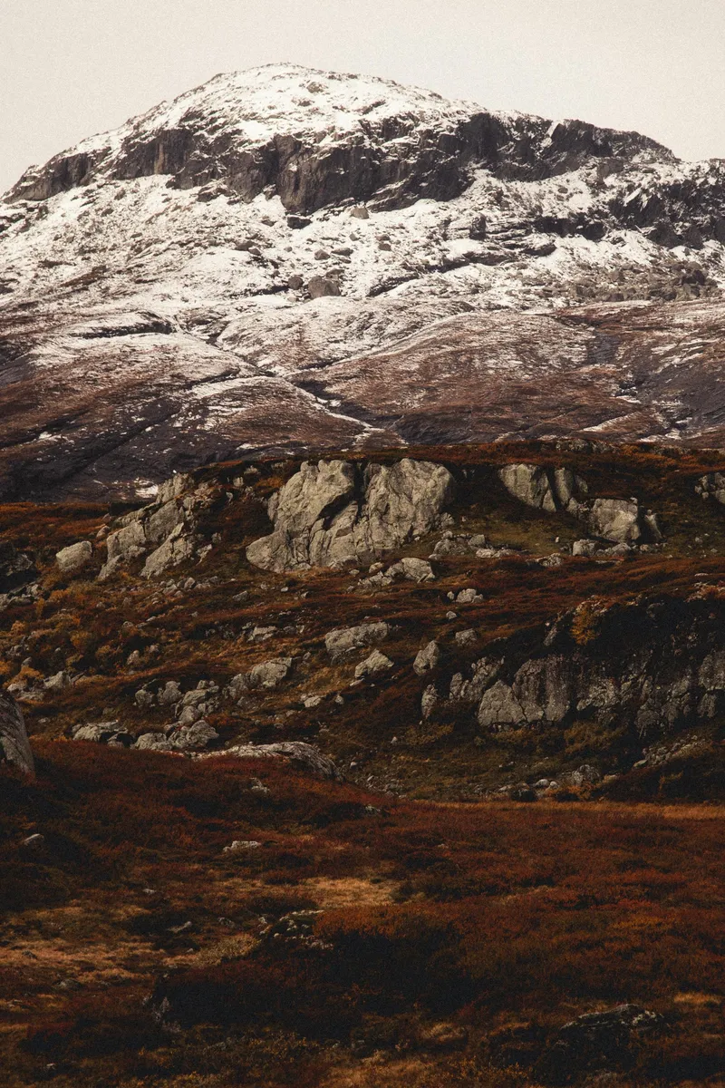 Finn Pietsch via Pexels